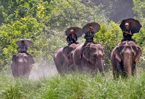 Bardia National Park